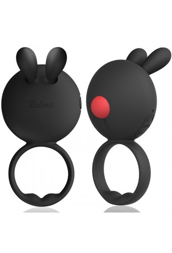 Rinbit