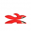 YW02